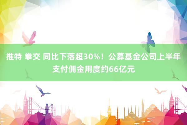 推特 拳交 同比下落超30%！公募基金公司上半年支付佣金用度约66亿元