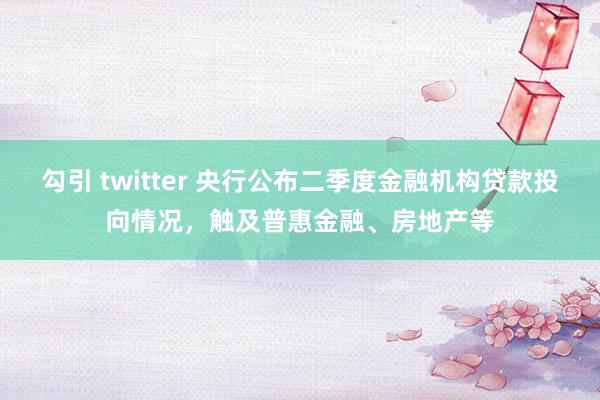 勾引 twitter 央行公布二季度金融机构贷款投向情况，触及普惠金融、房地产等