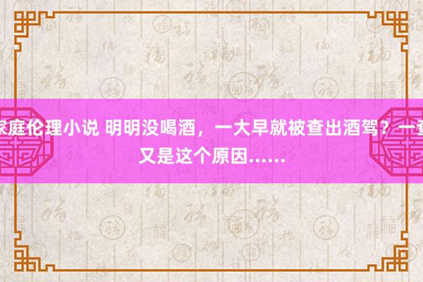 家庭伦理小说 明明没喝酒，一大早就被查出酒驾？一查又是这个原因......