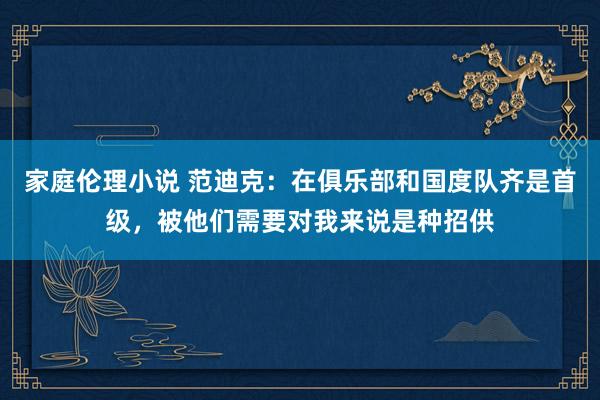 家庭伦理小说 范迪克：在俱乐部和国度队齐是首级，被他们需要对我来说是种招供