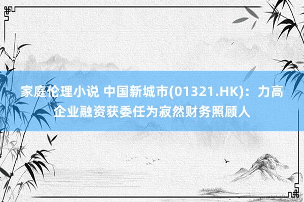 家庭伦理小说 中国新城市(01321.HK)：力高企业融资获委任为寂然财务照顾人