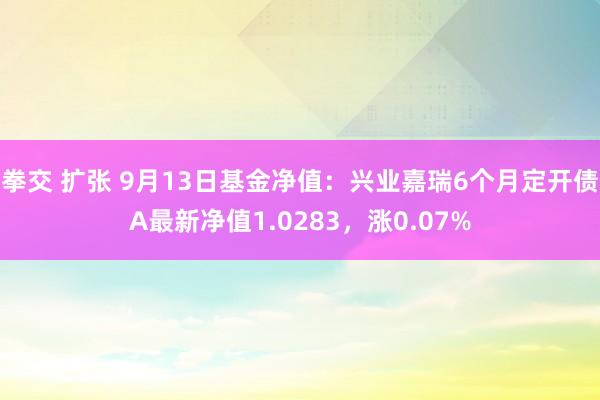 拳交 扩张 9月13日基金净值：兴业嘉瑞6个月定开债A最新净值1.0283，涨0.07%