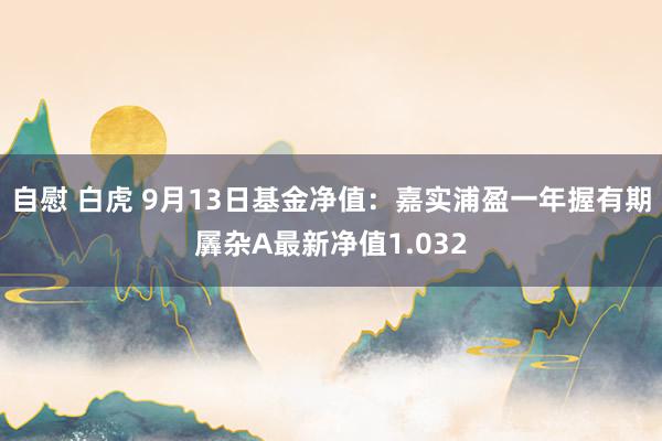 自慰 白虎 9月13日基金净值：嘉实浦盈一年握有期羼杂A最新净值1.032