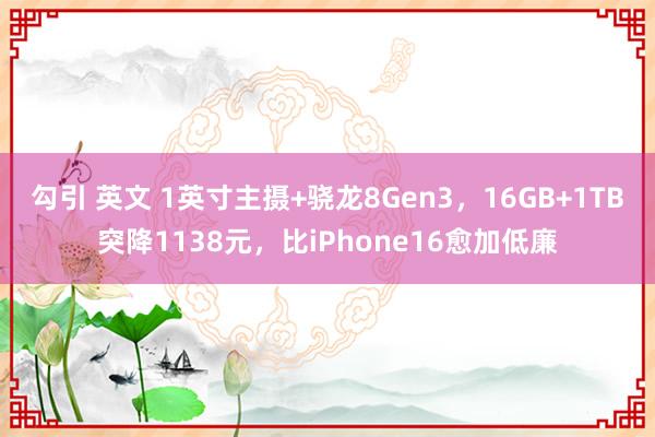 勾引 英文 1英寸主摄+骁龙8Gen3，16GB+1TB突降1138元，比iPhone16愈加低廉