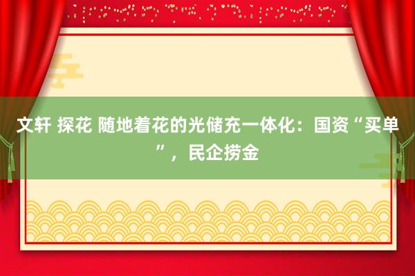 文轩 探花 随地着花的光储充一体化：国资“买单”，民企捞金