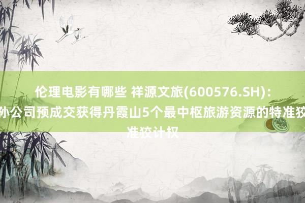 伦理电影有哪些 祥源文旅(600576.SH)：控股孙公司预成交获得丹霞山5个最中枢旅游资源的特准狡计权