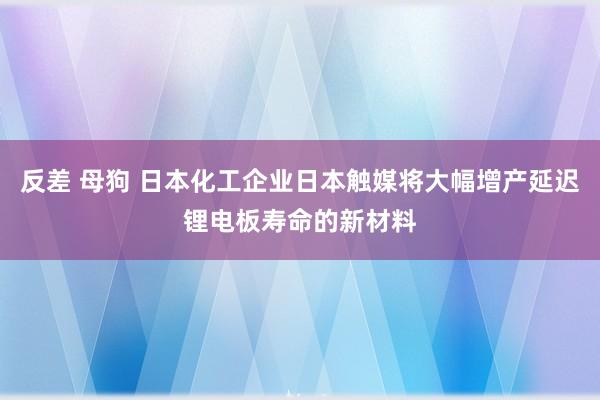 反差 母狗 日本化工企业日本触媒将大幅增产延迟锂电板寿命的新材料