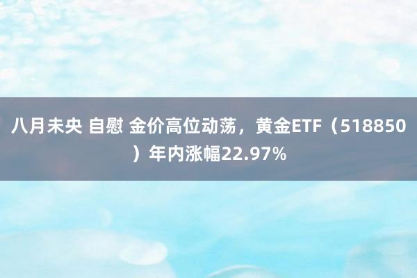 八月未央 自慰 金价高位动荡，黄金ETF（518850）年内涨幅22.97%