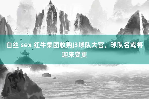 白丝 sex 红牛集团收购J3球队大宫，球队名或将迎来变更