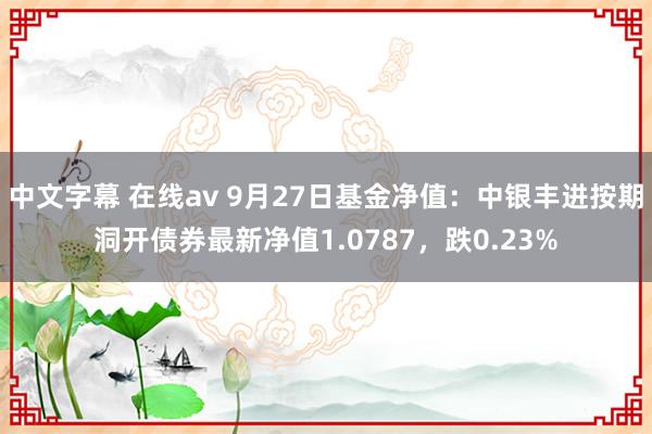 中文字幕 在线av 9月27日基金净值：中银丰进按期洞开债券最新净值1.0787，跌0.23%