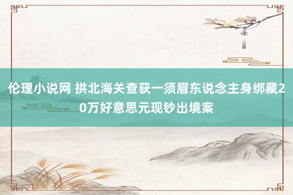 伦理小说网 拱北海关查获一须眉东说念主身绑藏20万好意思元现钞出境案