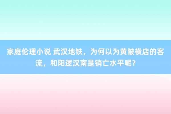 家庭伦理小说 武汉地铁，为何以为黄陂横店的客流，和阳逻汉南是销亡水平呢？