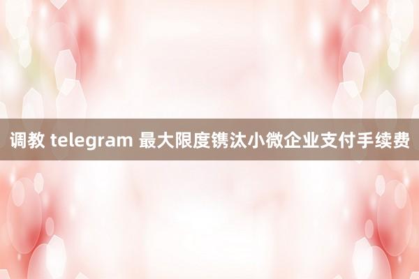 调教 telegram 最大限度镌汰小微企业支付手续费