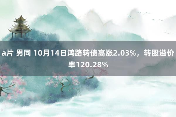 a片 男同 10月14日鸿路转债高涨2.03%，转股溢价率120.28%