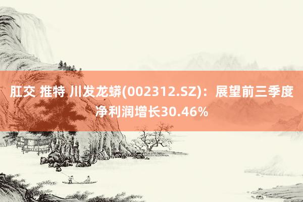 肛交 推特 川发龙蟒(002312.SZ)：展望前三季度净利润增长30.46%