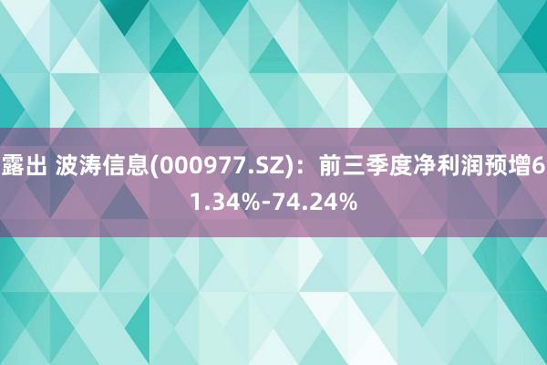 露出 波涛信息(000977.SZ)：前三季度净利润预增61.34%-74.24%