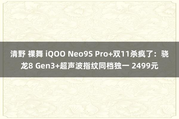 清野 裸舞 iQOO Neo9S Pro+双11杀疯了：骁龙8 Gen3+超声波指纹同档独一 2499元