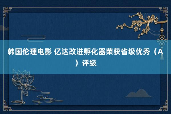 韩国伦理电影 亿达改进孵化器荣获省级优秀（A）评级