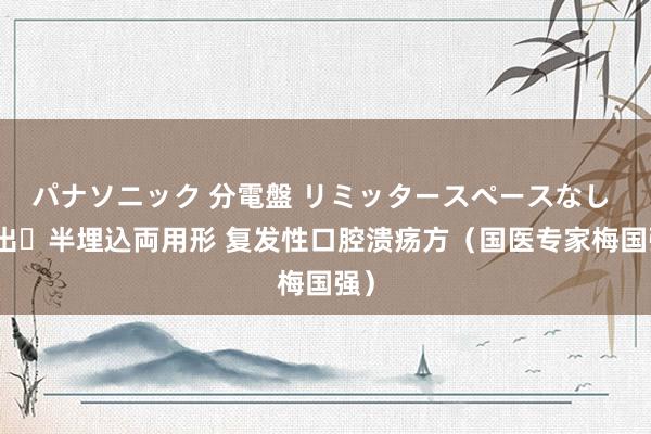 パナソニック 分電盤 リミッタースペースなし 露出・半埋込両用形 复发性口腔溃疡方（国医专家梅国强）