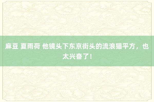 麻豆 夏雨荷 他镜头下东京街头的流浪猫平方，也太兴奋了！