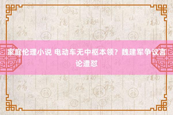 家庭伦理小说 电动车无中枢本领？魏建军争议言论遭怼