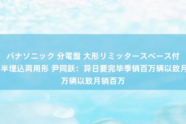 パナソニック 分電盤 大形リミッタースペース付 露出・半埋込両用形 尹同跃：异日要完毕季销百万辆以致月销百万