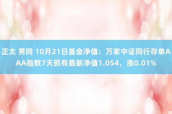 正太 男同 10月21日基金净值：万家中证同行存单AAA指数7天抓有最新净值1.054，涨0.01%