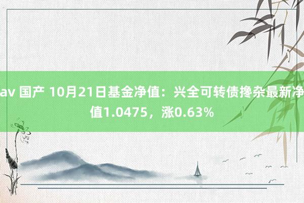 av 国产 10月21日基金净值：兴全可转债搀杂最新净值1.0475，涨0.63%