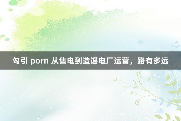 勾引 porn 从售电到造谣电厂运营，路有多远