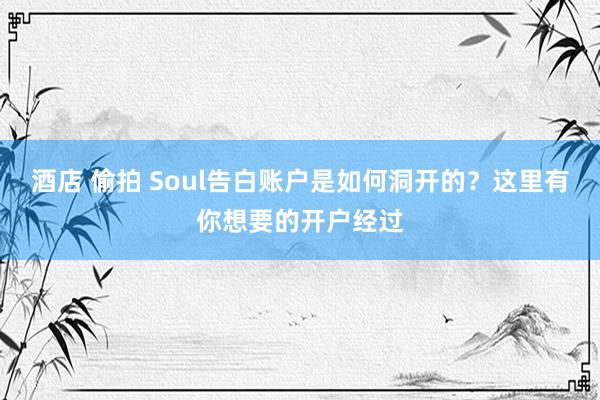 酒店 偷拍 Soul告白账户是如何洞开的？这里有你想要的开户经过