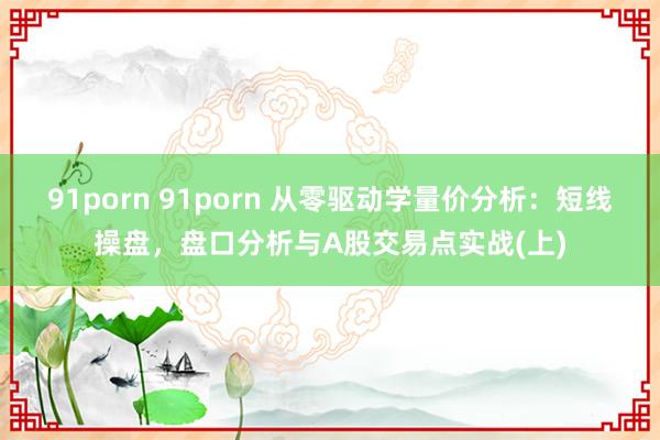 91porn 91porn 从零驱动学量价分析：短线操盘，盘口分析与A股交易点实战(上)