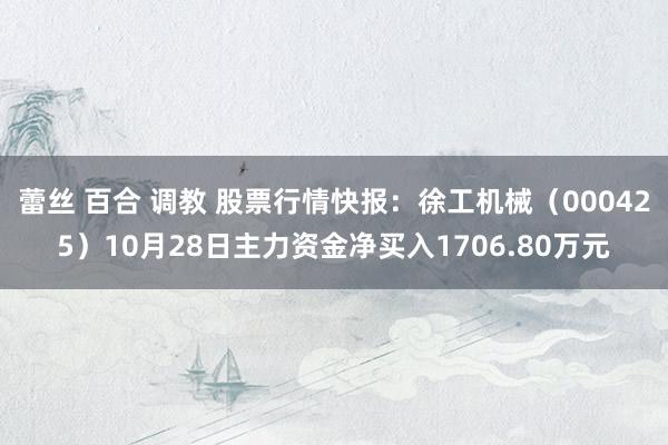 蕾丝 百合 调教 股票行情快报：徐工机械（000425）10月28日主力资金净买入1706.80万元