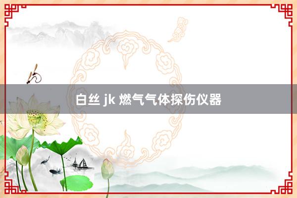 白丝 jk 燃气气体探伤仪器