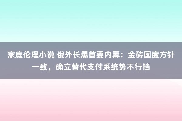 家庭伦理小说 俄外长爆首要内幕：金砖国度方针一致，确立替代支付系统势不行挡