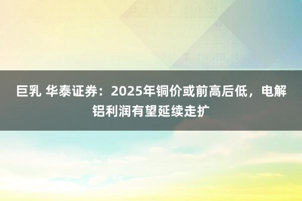 巨乳 华泰证券：2025年铜价或前高后低，电解铝利润有望延续走扩