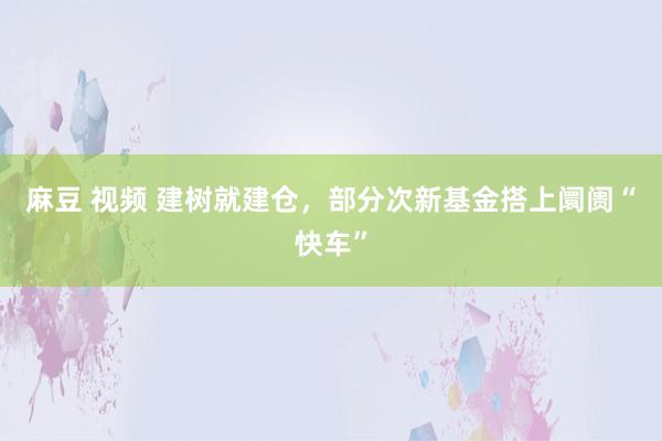 麻豆 视频 建树就建仓，部分次新基金搭上阛阓“快车”