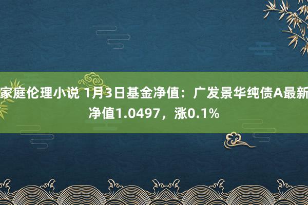 家庭伦理小说 1月3日基金净值：广发景华纯债A最新净值1.0497，涨0.1%