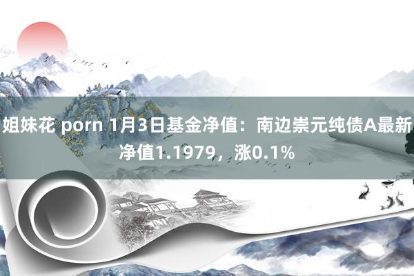 姐妹花 porn 1月3日基金净值：南边崇元纯债A最新净值1.1979，涨0.1%