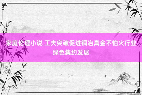 家庭伦理小说 工夫突破促进铜冶真金不怕火行业绿色集约发展