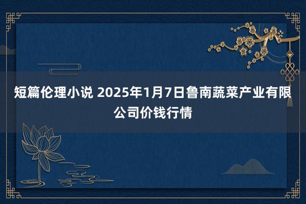 短篇伦理小说 2025年1月7日鲁南蔬菜产业有限公司价钱行情