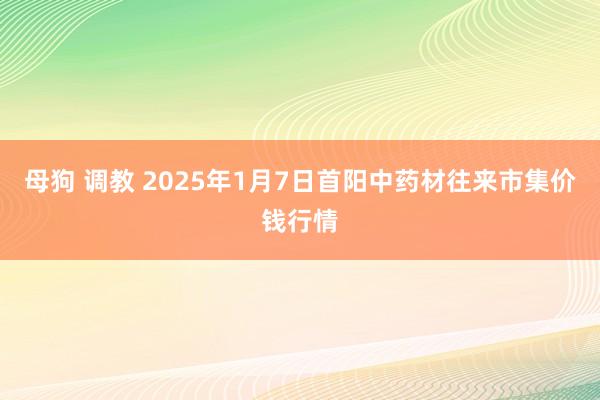 母狗 调教 2025年1月7日首阳中药材往来市集价钱行情