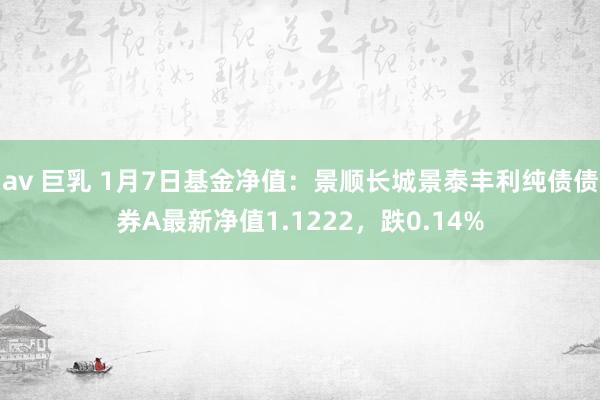 av 巨乳 1月7日基金净值：景顺长城景泰丰利纯债债券A最新净值1.1222，跌0.14%