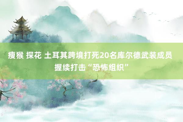 瘦猴 探花 土耳其跨境打死20名库尔德武装成员 握续打击“恐怖组织”