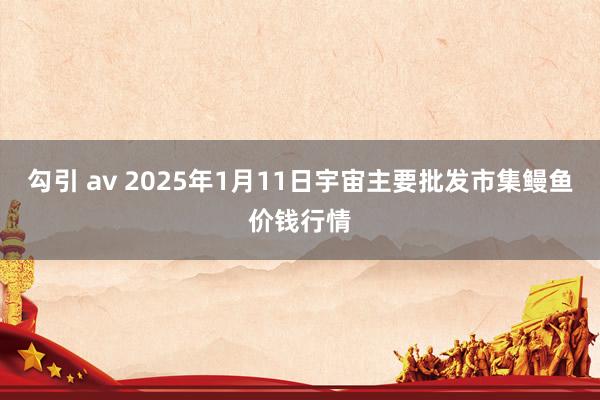 勾引 av 2025年1月11日宇宙主要批发市集鳗鱼价钱行情