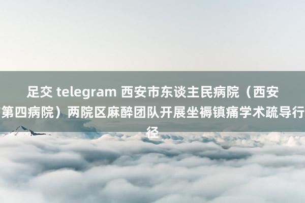 足交 telegram 西安市东谈主民病院（西安市第四病院）两院区麻醉团队开展坐褥镇痛学术疏导行径