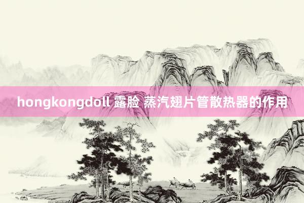 hongkongdoll 露脸 蒸汽翅片管散热器的作用