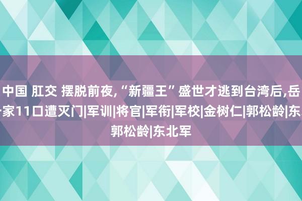 中国 肛交 摆脱前夜，“新疆王”盛世才逃到台湾后，岳父一家11口遭灭门|军训|将官|军衔|军校|金树仁|郭松龄|东北军